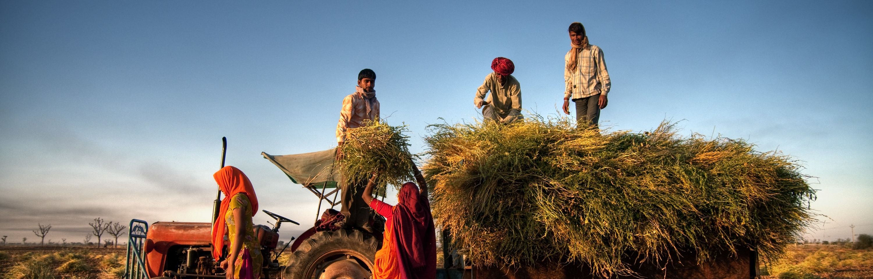 Peer impact story: Zero Hunger Lab