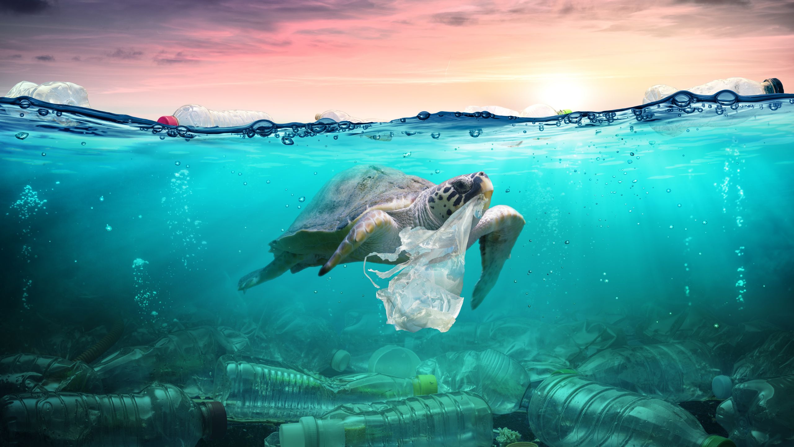 Optimizing the Path Towards Plastic-Free Oceans
