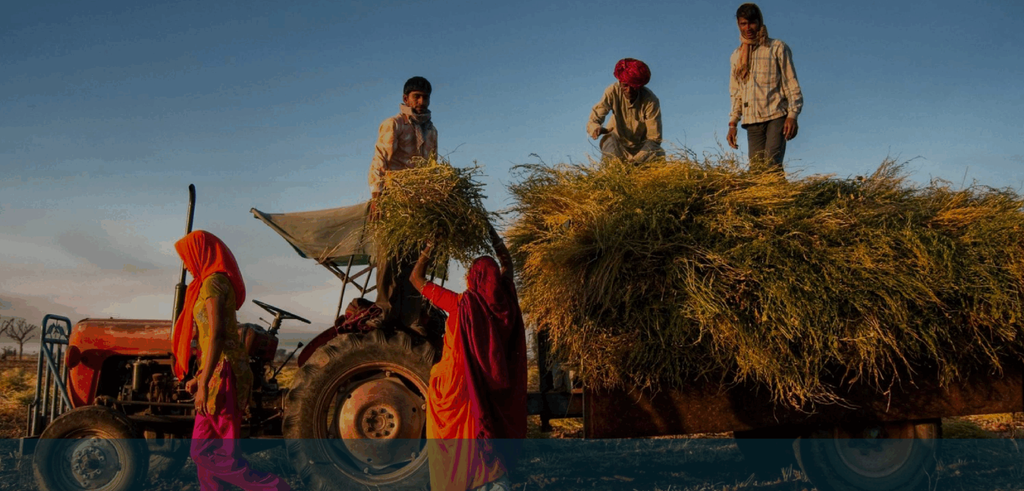 The 2025 Annual Impact Review